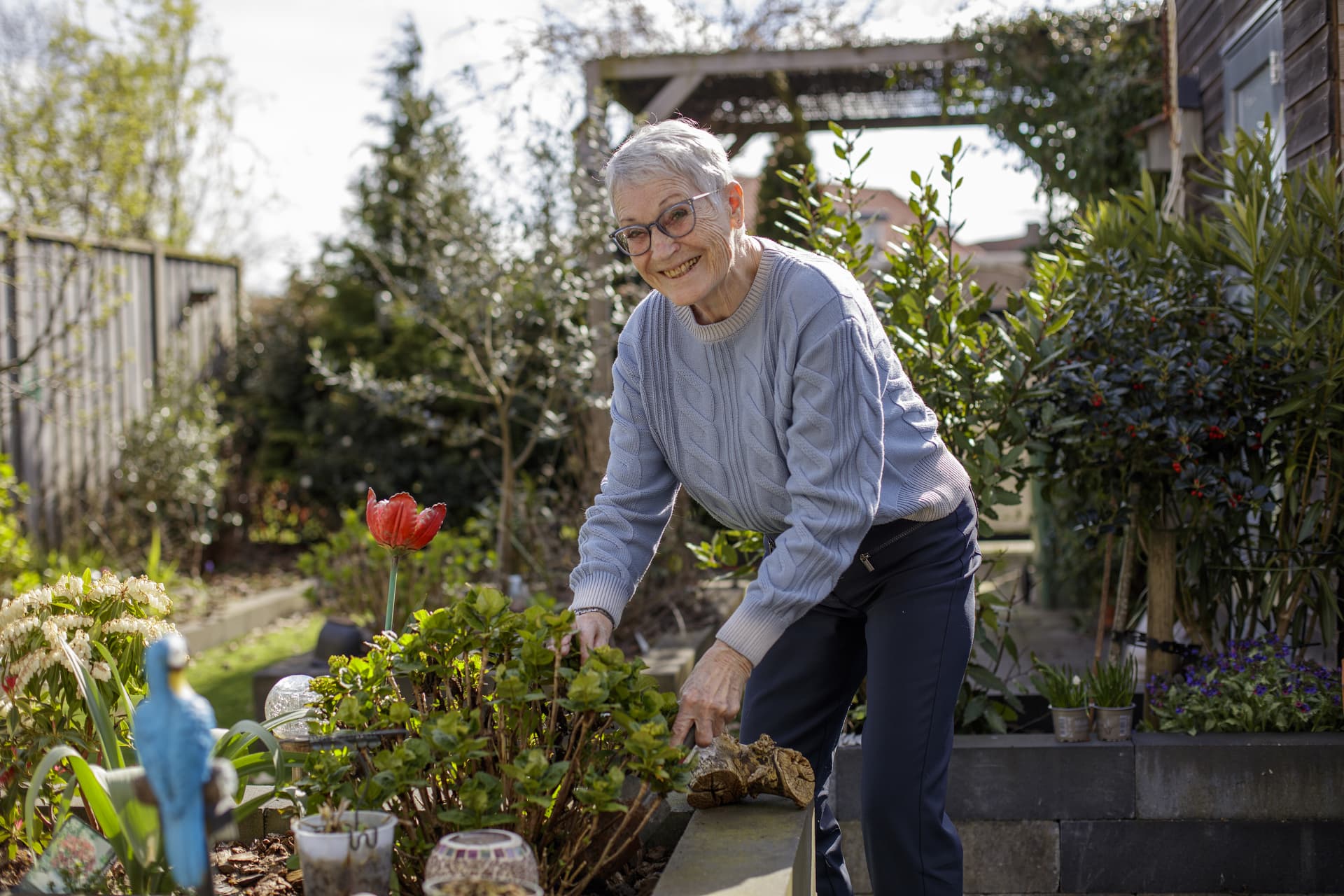 Margriet 