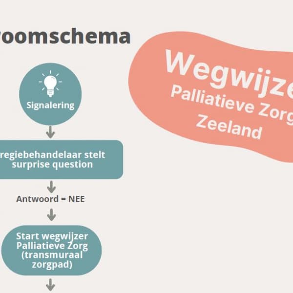 Palliatieve zorg