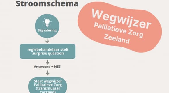 Palliatieve zorg